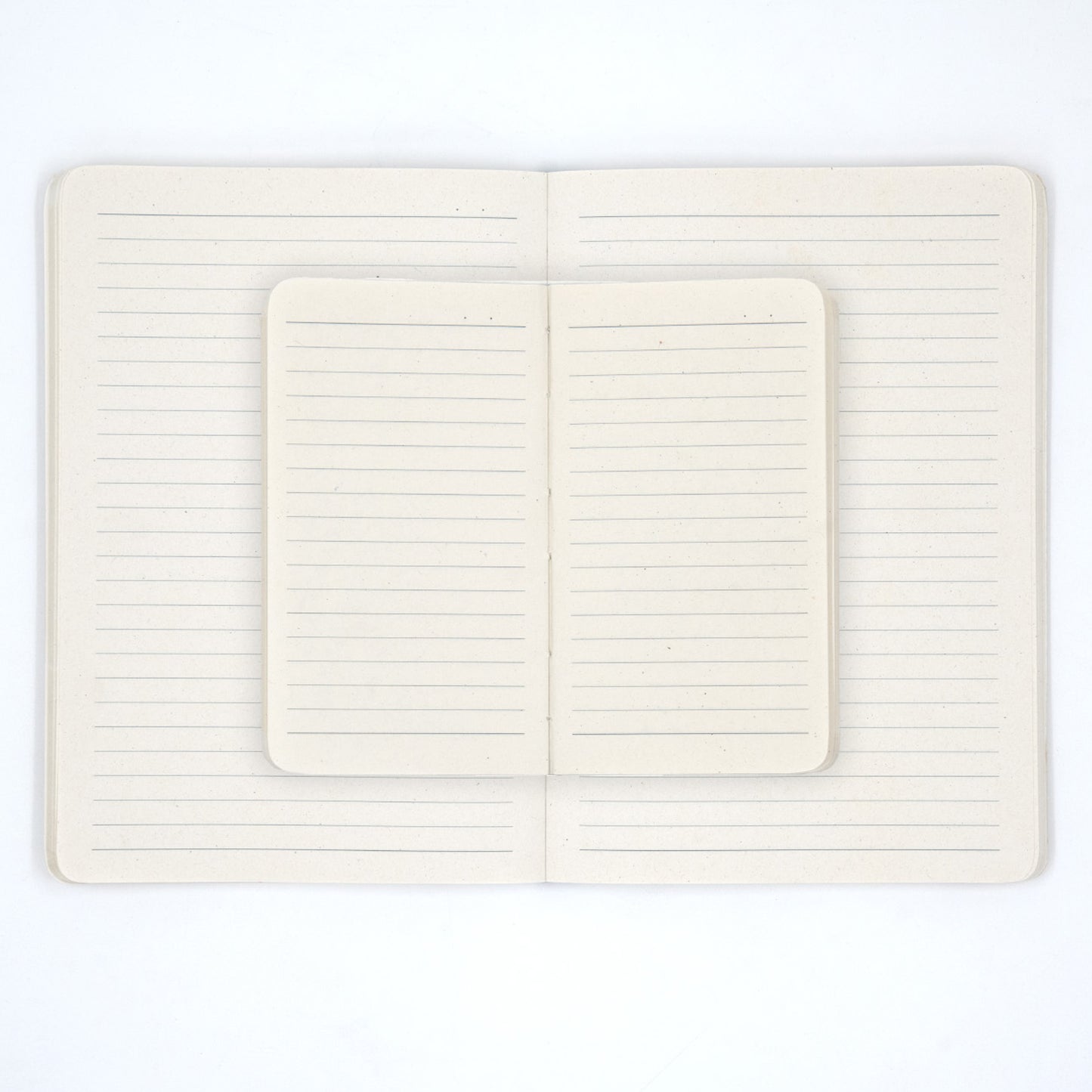 Open notebook with lined pages on a white background