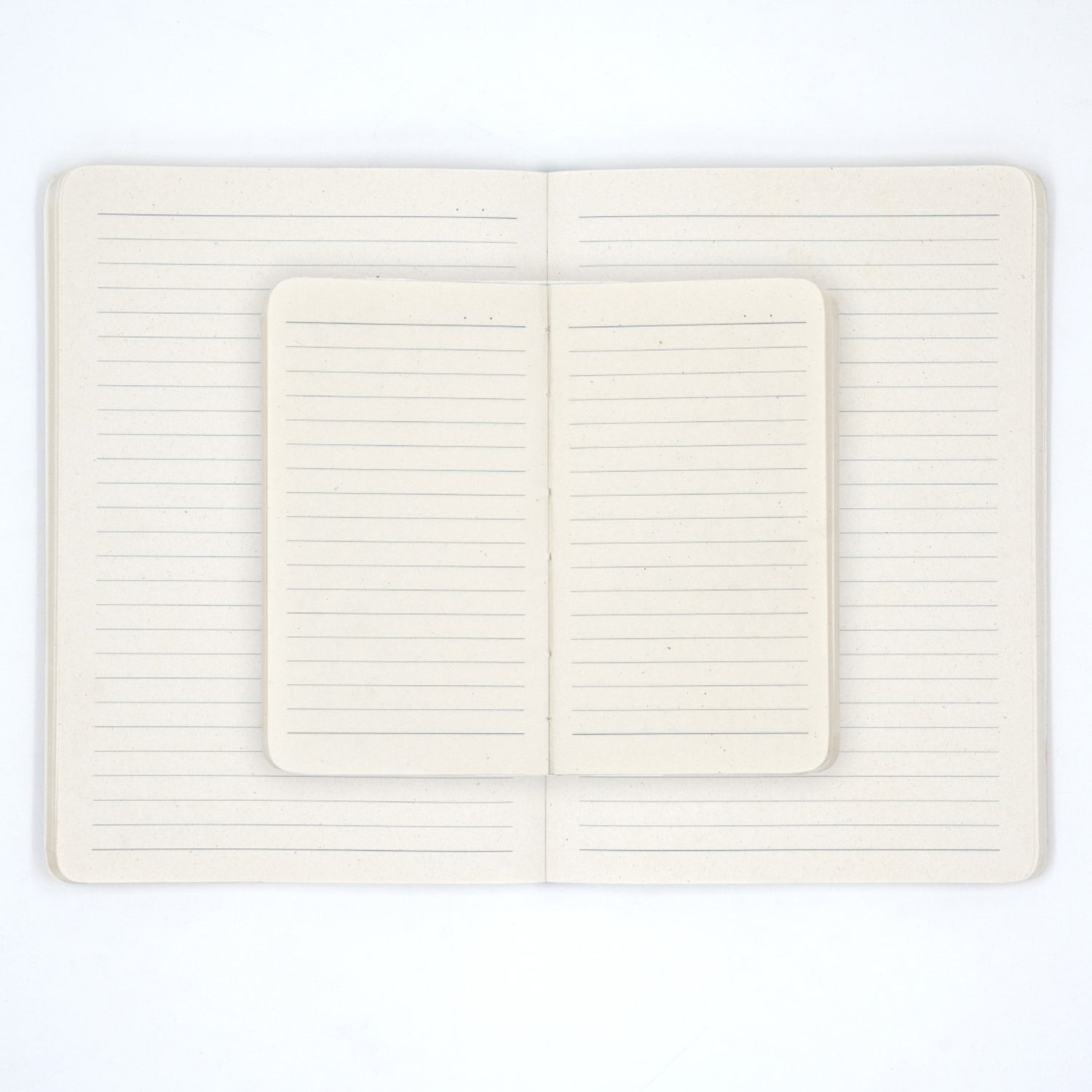 Open notebook with lined pages on a white background
